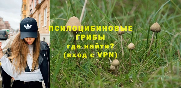 сатива Снежинск