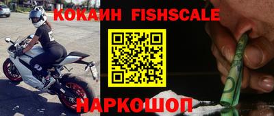 ГАЛЛЮЦИНОГЕННЫЕ ГРИБЫ Гусев