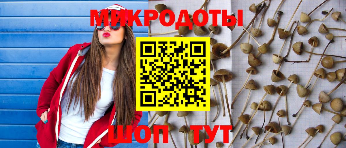 Псилоцибиновые грибы прущие грибы  цена наркотик  Вход с VPN  Кудымкар  Галлюциногенные грибы Psilocybine cubensis 